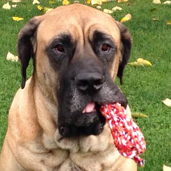 Meet your Posher, James - Picture 1 of 1